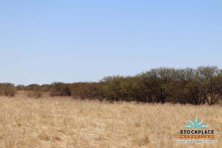 Richmond–Winton Highway, Richmond Expressions of Interest by Farmbuy.com - image 11