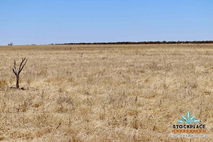 Richmond–Winton Highway, Richmond Expressions of Interest by Farmbuy.com - image 28