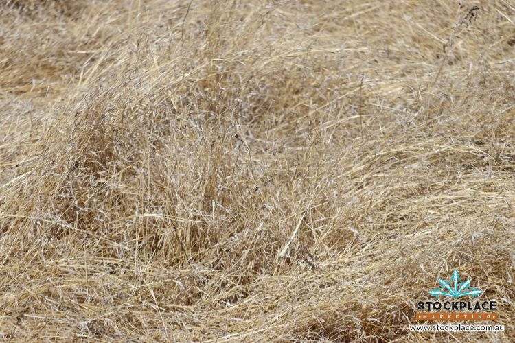 Richmond–Winton Highway, Richmond Expressions of Interest by Farmbuy.com - image 5