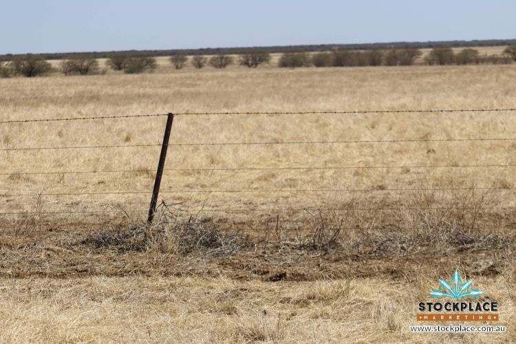 Richmond–Winton Highway, Richmond Expressions of Interest by Farmbuy.com - image 24