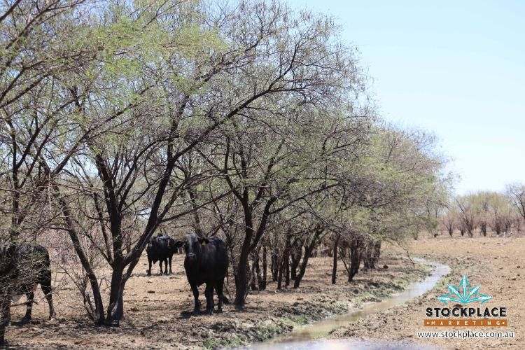 Richmond–Winton Highway, Richmond Expressions of Interest by Farmbuy.com - image 26