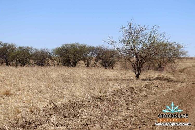 Richmond–Winton Highway, Richmond Expressions of Interest by Farmbuy.com - image 17