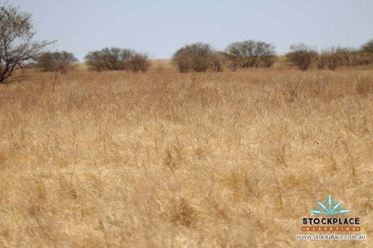 Richmond–Winton Highway, Richmond Expressions of Interest by Farmbuy.com - image 34