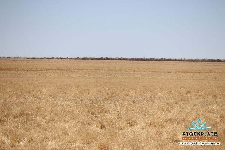 Richmond–Winton Highway, Richmond Expressions of Interest by Farmbuy.com - image 1