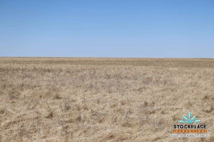 Richmond–Winton Highway, Richmond Expressions of Interest by Farmbuy.com - image 29