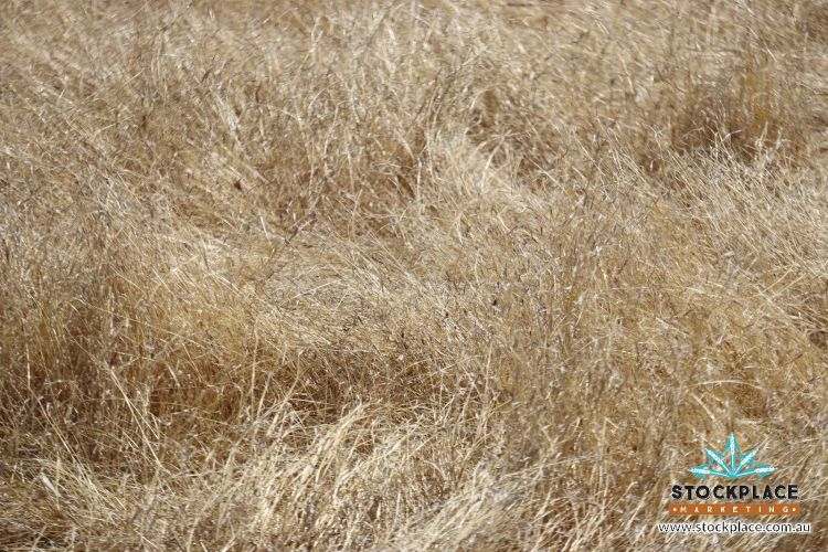 Richmond–Winton Highway, Richmond Expressions of Interest by Farmbuy.com - image 19