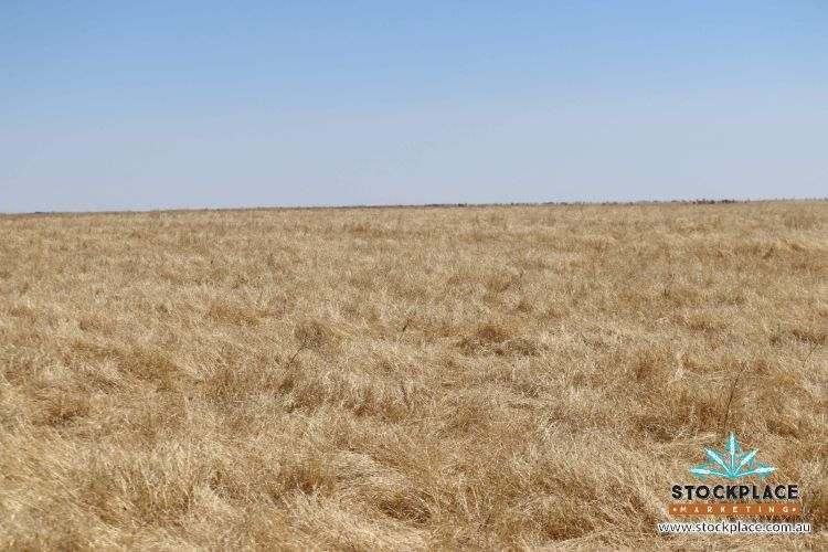 Richmond–Winton Highway, Richmond Expressions of Interest by Farmbuy.com - image 14