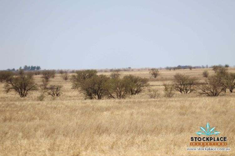 Richmond–Winton Highway, Richmond Expressions of Interest by Farmbuy.com - image 21