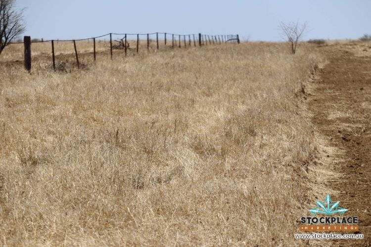 Richmond–Winton Highway, Richmond Expressions of Interest by Farmbuy.com - image 32