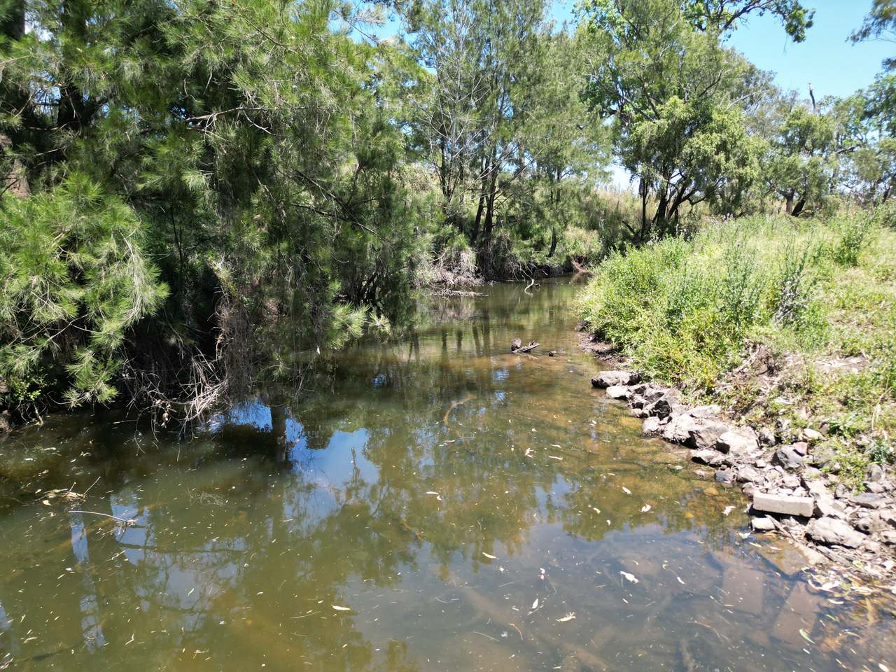 250 Heights Road, Nanango For Sale by Farmbuy.com - image 4