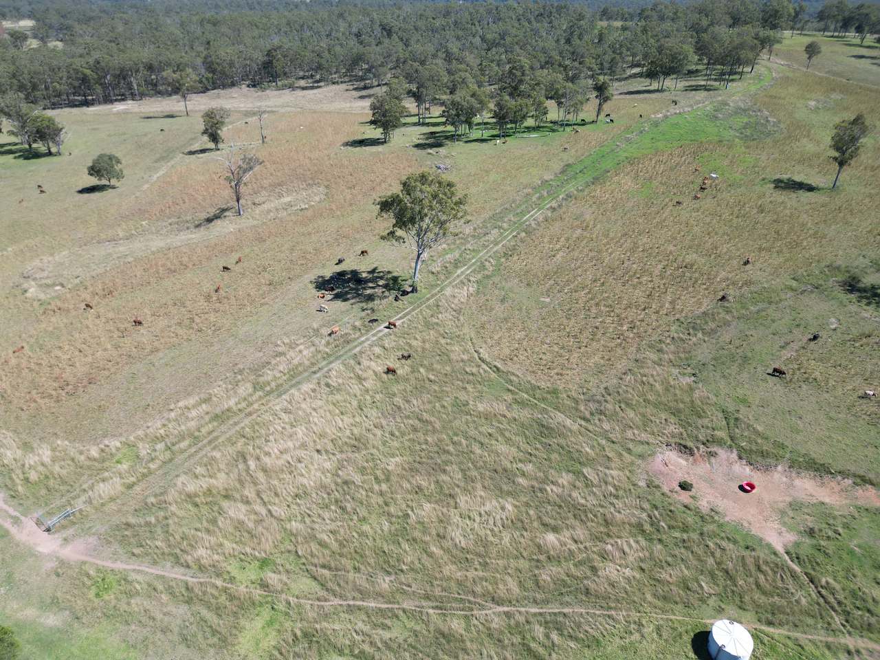 250 Heights Road, Nanango For Sale by Farmbuy.com - image 20