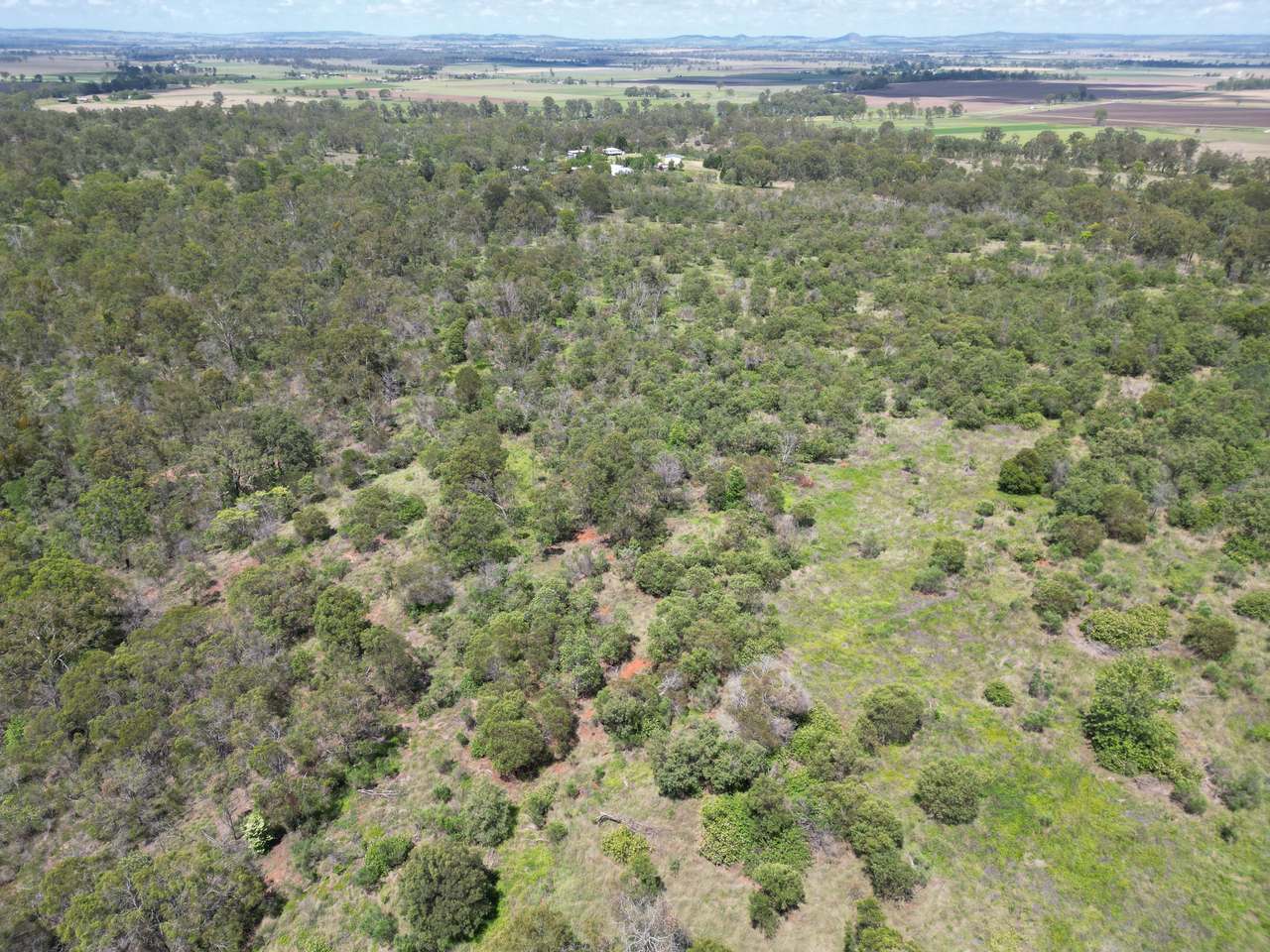 349 Paul Holznagel Road, Murgon For Sale by Farmbuy.com - image 27