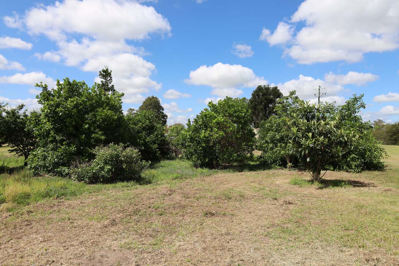 349 Paul Holznagel Road, Murgon For Sale by Farmbuy.com - image 19