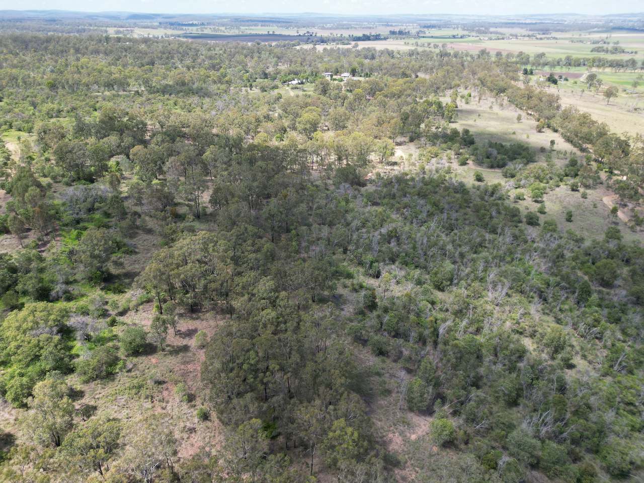 349 Paul Holznagel Road, Murgon For Sale by Farmbuy.com - image 26