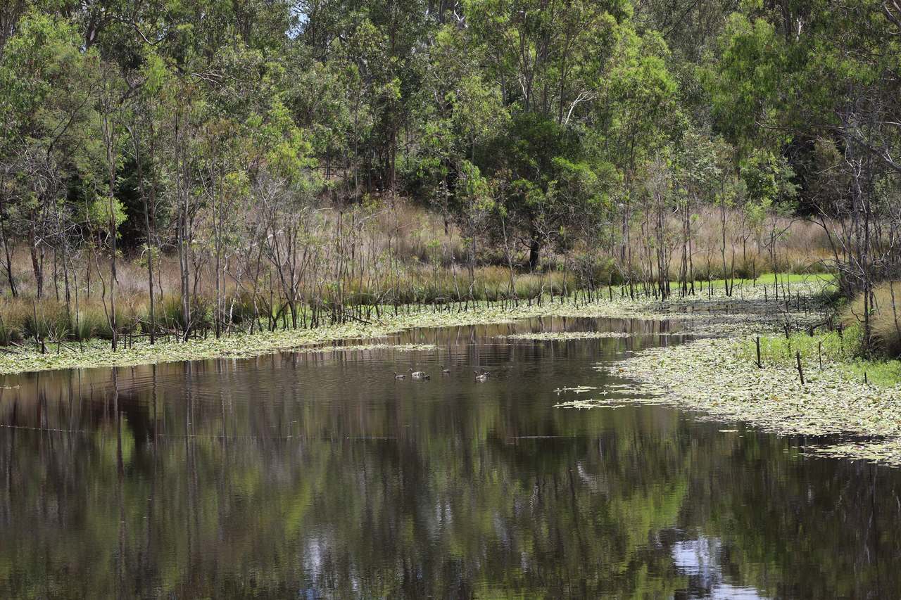 349 Paul Holznagel Road, Murgon For Sale by Farmbuy.com - image 5