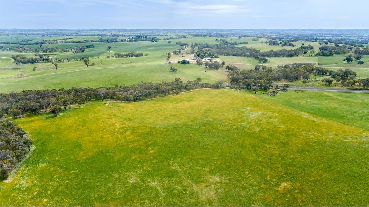 GLENROY, Wallendbeen  Expressions of Interest by Farmbuy.com - image 23