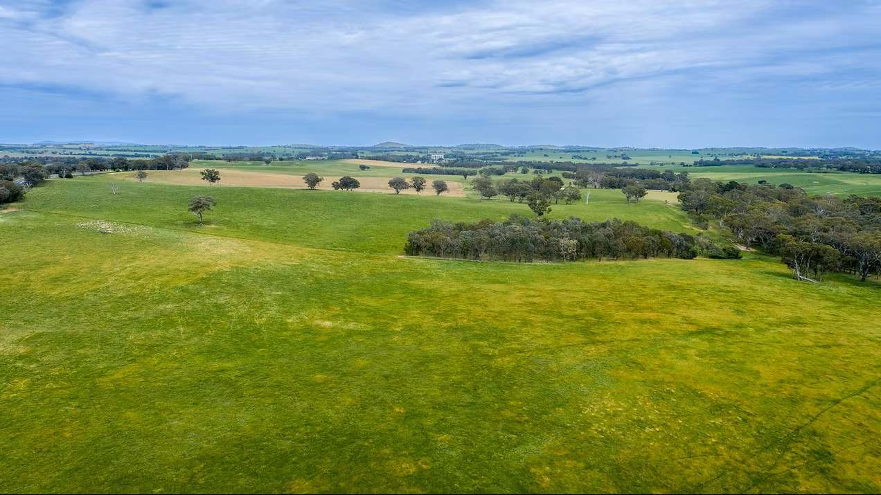 GLENROY, Wallendbeen  Expressions of Interest by Farmbuy.com - image 39