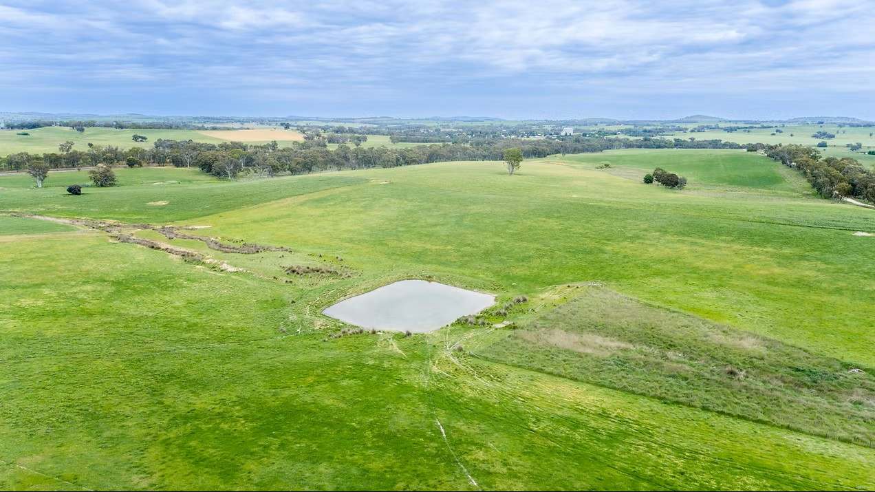 GLENROY, Wallendbeen  Expressions of Interest by Farmbuy.com - image 17