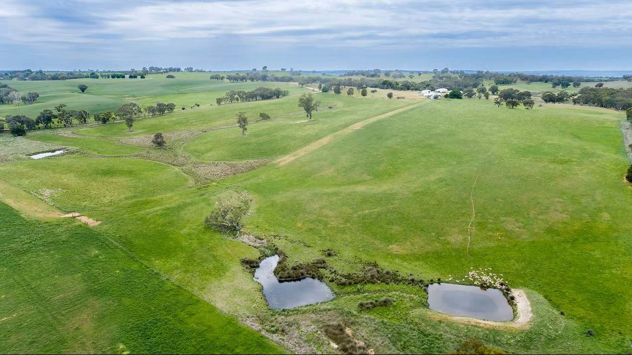 GLENROY, Wallendbeen  Expressions of Interest by Farmbuy.com - image 38