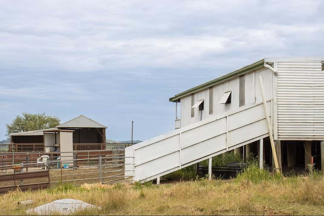 GLENROY, Wallendbeen  Expressions of Interest by Farmbuy.com - image 9