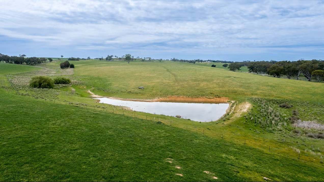 GLENROY, Wallendbeen  Expressions of Interest by Farmbuy.com - image 2