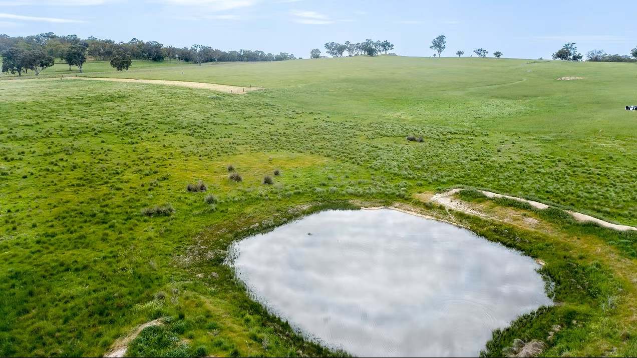 GLENROY, Wallendbeen  Expressions of Interest by Farmbuy.com - image 46