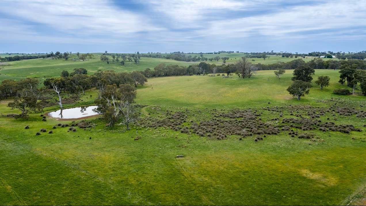 GLENROY, Wallendbeen  Expressions of Interest by Farmbuy.com - image 29