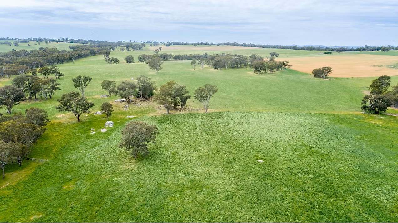 GLENROY, Wallendbeen  Expressions of Interest by Farmbuy.com - image 28