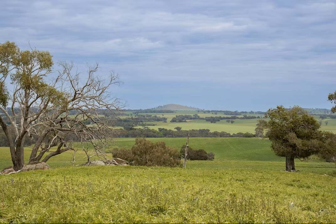 GLENROY, Wallendbeen  Expressions of Interest by Farmbuy.com - image 20