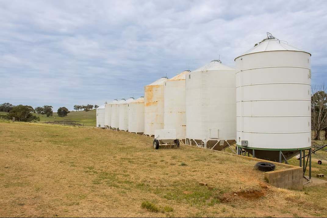 GLENROY, Wallendbeen  Expressions of Interest by Farmbuy.com - image 45