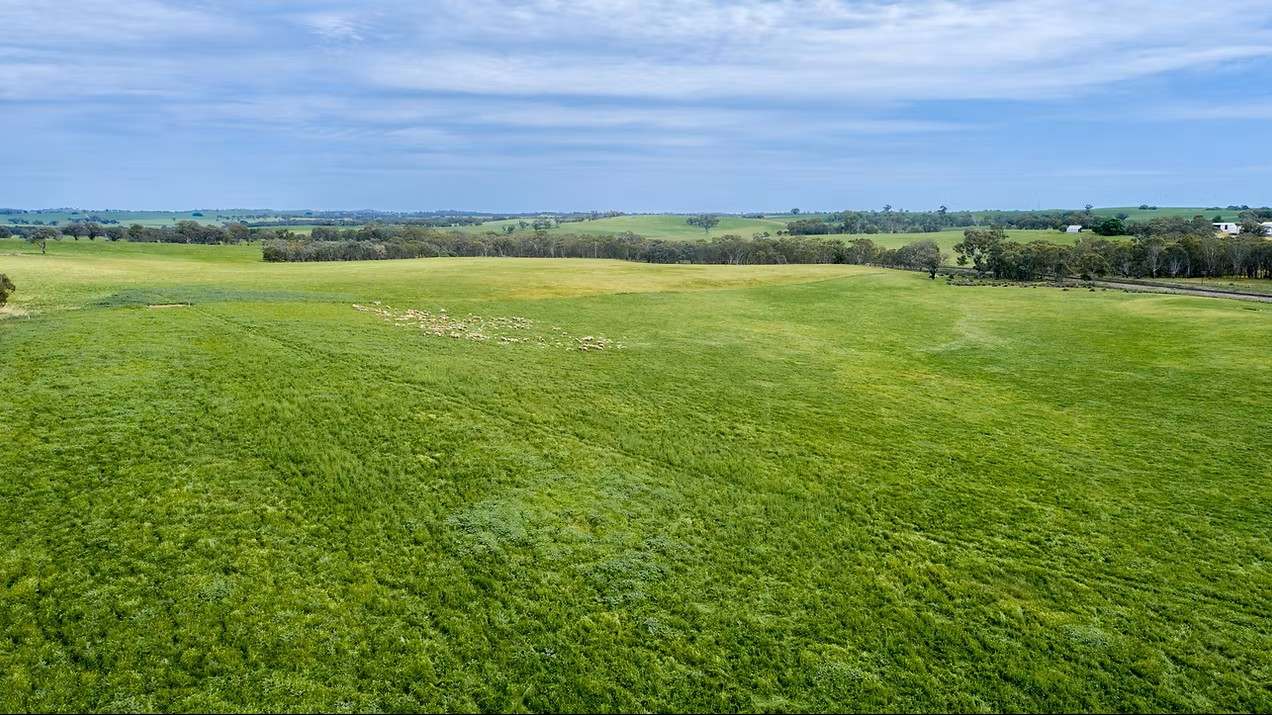GLENROY, Wallendbeen  Expressions of Interest by Farmbuy.com - image 3