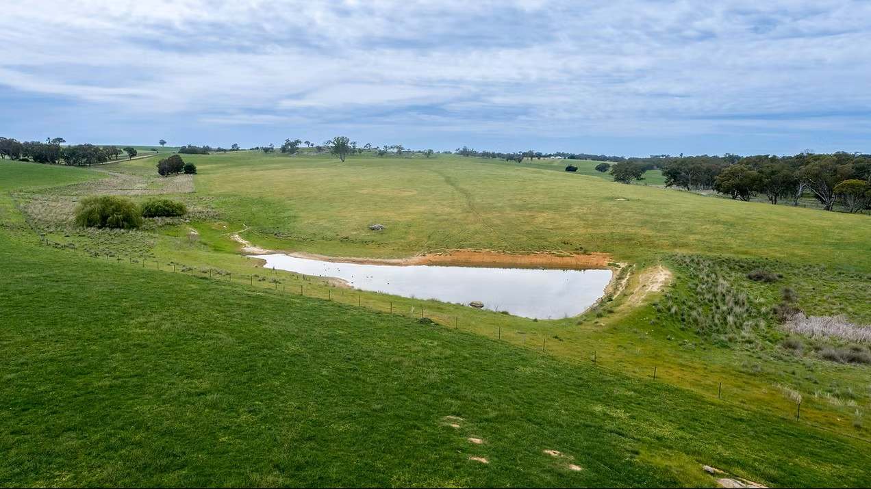GLENROY, Wallendbeen  Expressions of Interest by Farmbuy.com - image 14