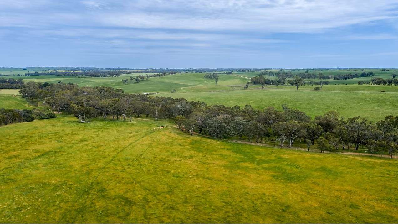GLENROY, Wallendbeen  Expressions of Interest by Farmbuy.com - image 5