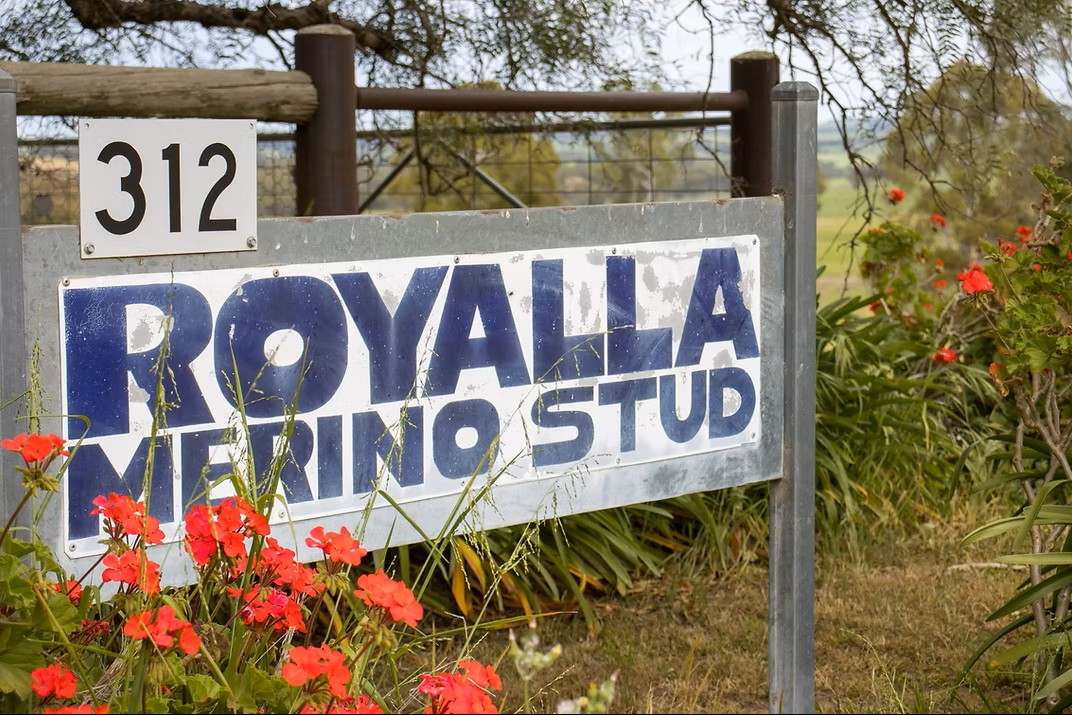 GLENROY, Wallendbeen  Expressions of Interest by Farmbuy.com - image 12