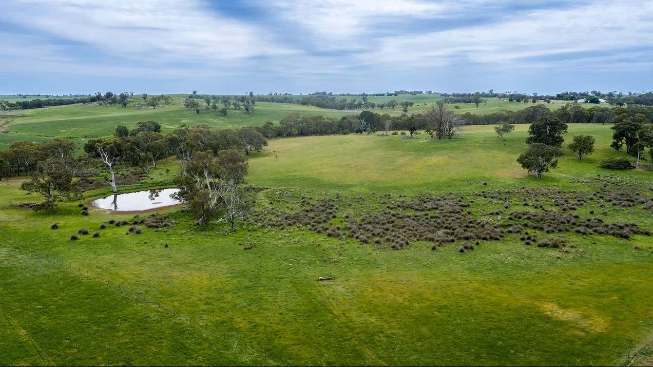 GLENROY, Wallendbeen  Expressions of Interest by Farmbuy.com - image 35