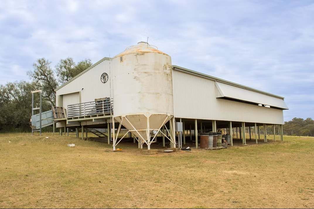 GLENROY, Wallendbeen  Expressions of Interest by Farmbuy.com - image 7