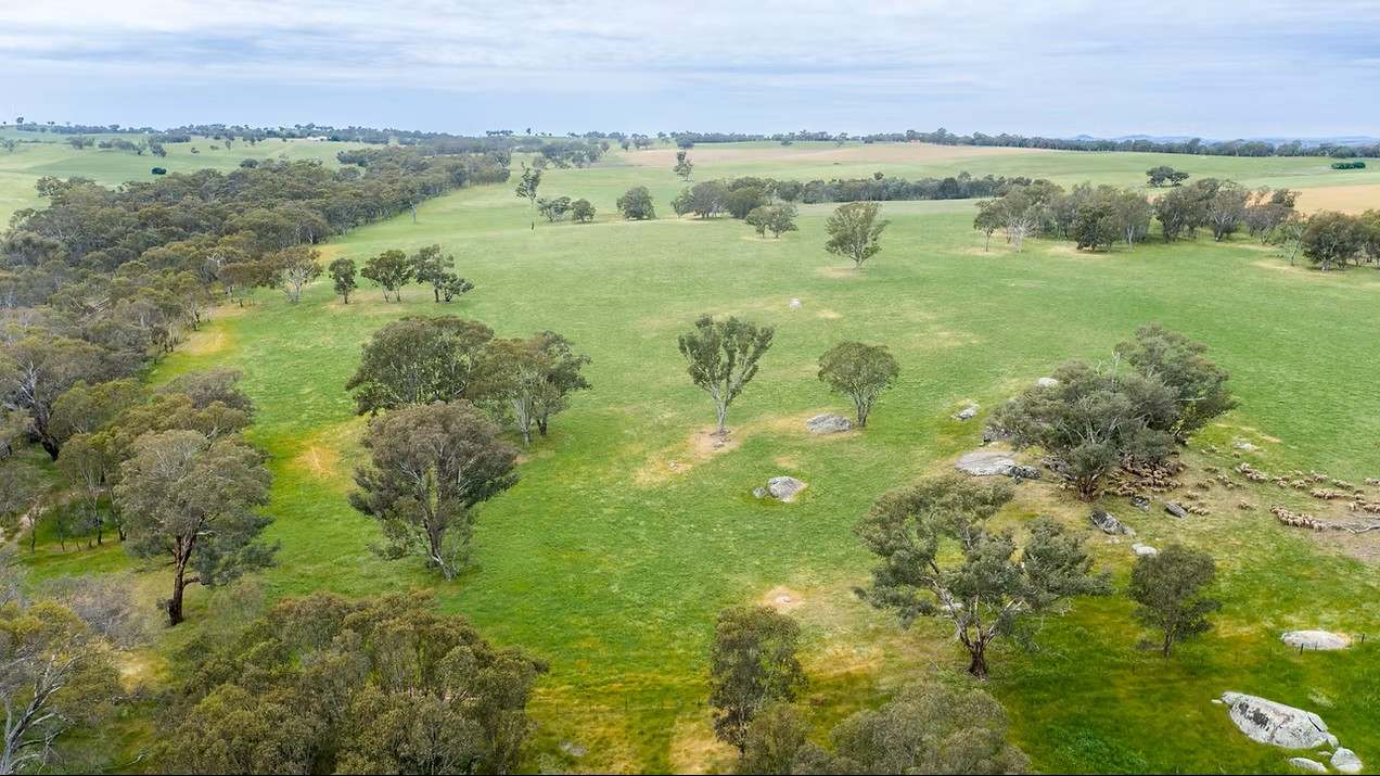 GLENROY, Wallendbeen  Expressions of Interest by Farmbuy.com - image 43