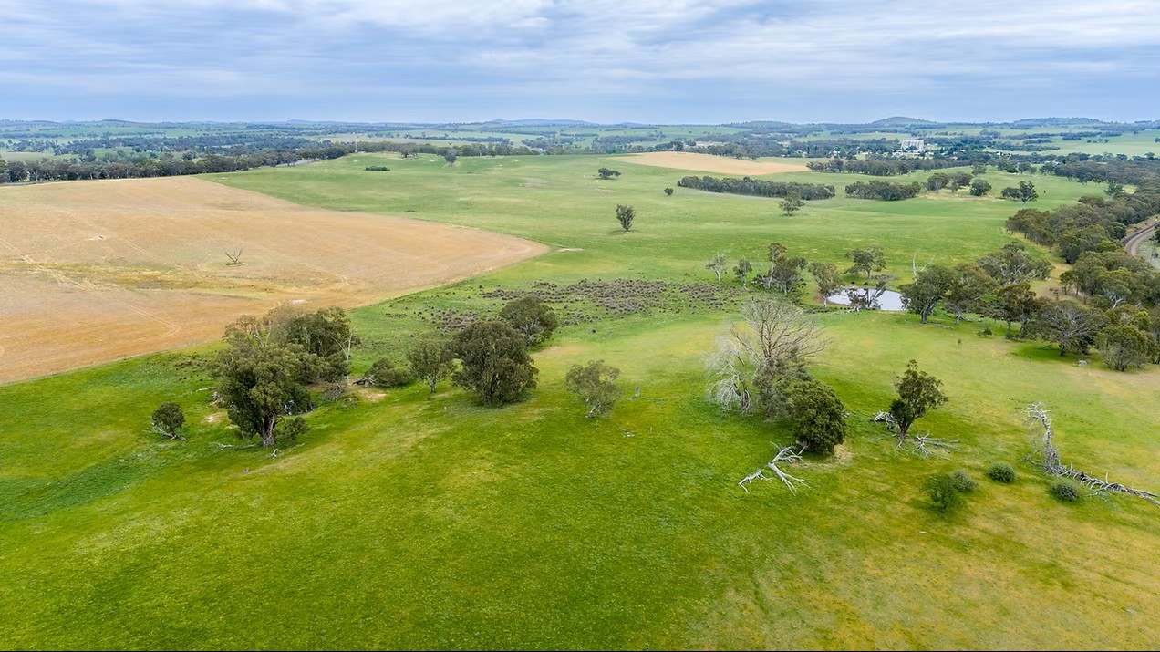 GLENROY, Wallendbeen  Expressions of Interest by Farmbuy.com - image 6