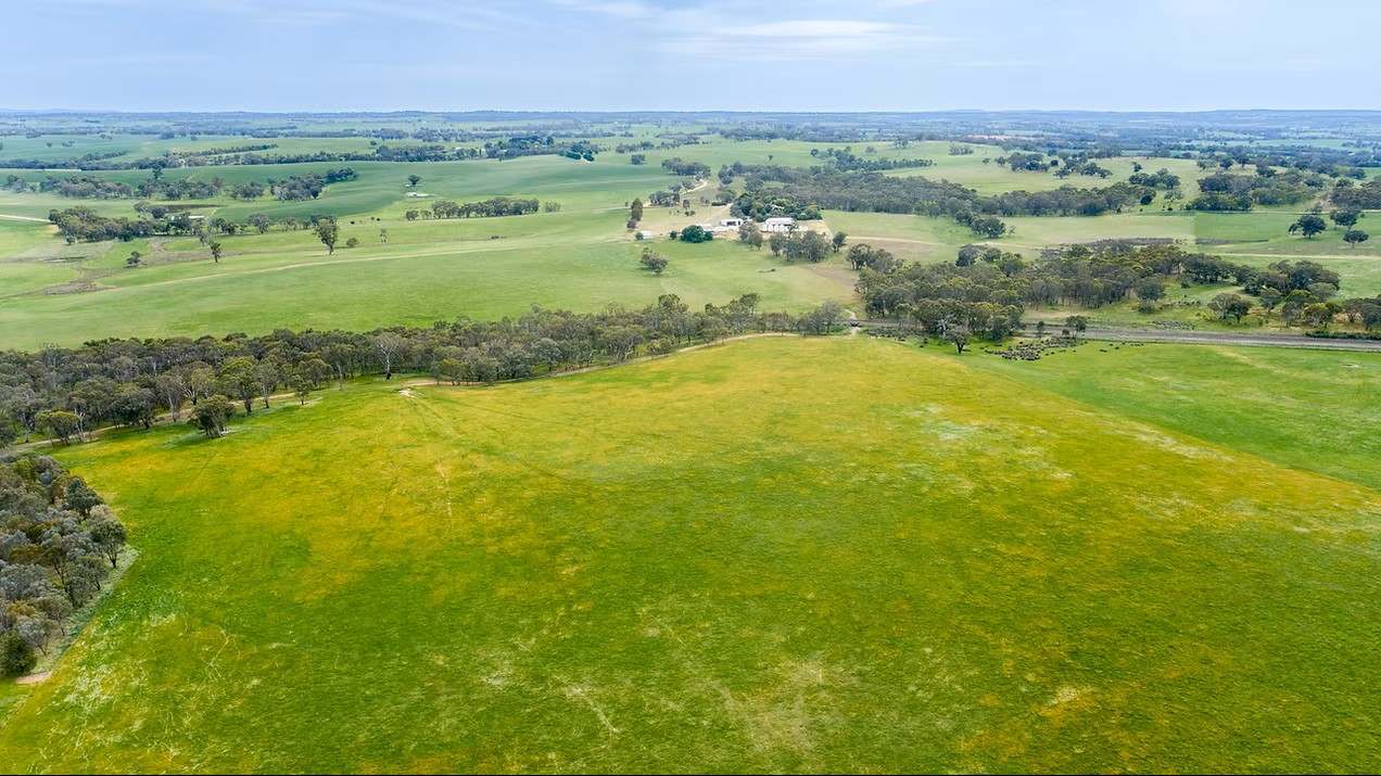 GLENROY, Wallendbeen  Expressions of Interest by Farmbuy.com - image 19