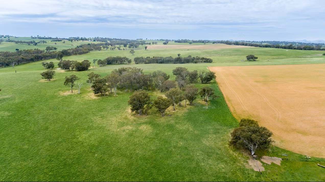 GLENROY, Wallendbeen  Expressions of Interest by Farmbuy.com - image 18