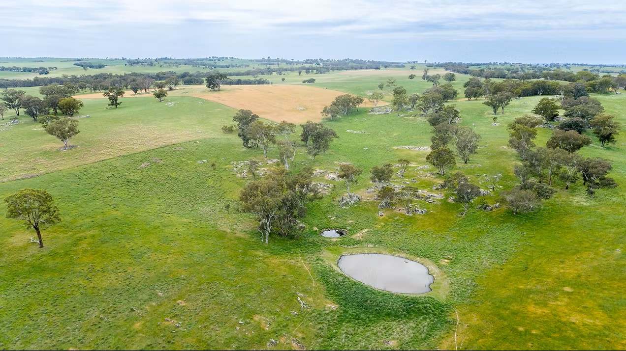 GLENROY, Wallendbeen  Expressions of Interest by Farmbuy.com - image 36