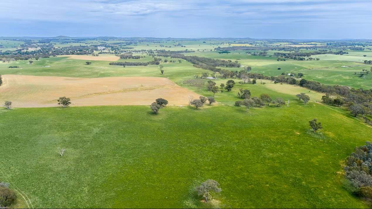 GLENROY, Wallendbeen  Expressions of Interest by Farmbuy.com - image 42
