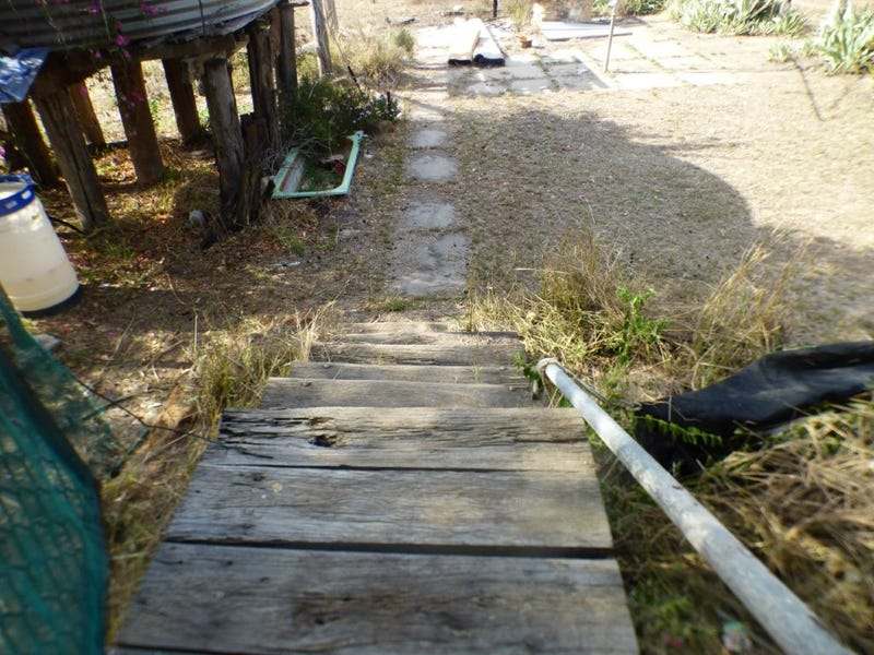 451 Orchard Road, TARA For Sale by Farmbuy.com - image 17