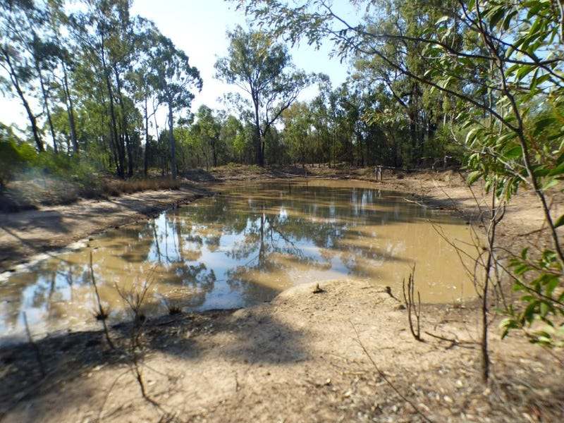 451 Orchard Road, TARA For Sale by Farmbuy.com - image 20