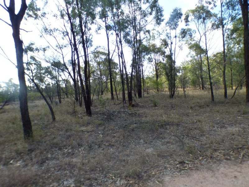 451 Orchard Road, TARA For Sale by Farmbuy.com - image 3