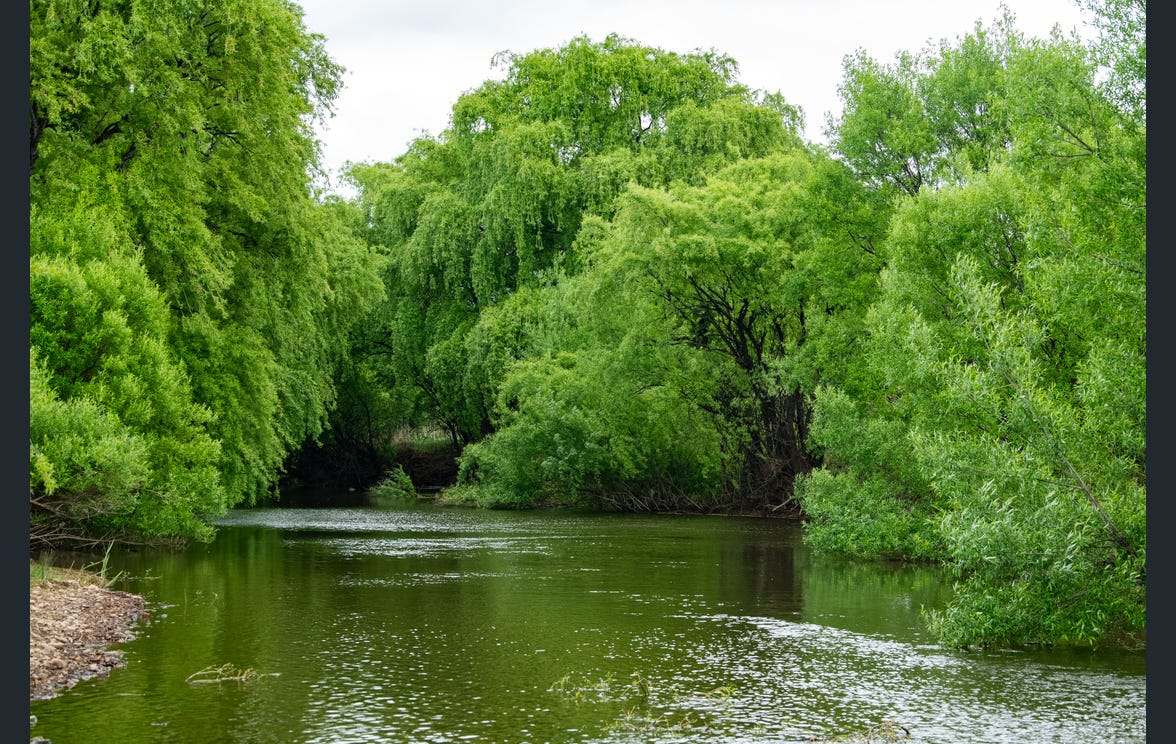 188 Chakola Road, Cooma Auction by Farmbuy.com - image 32