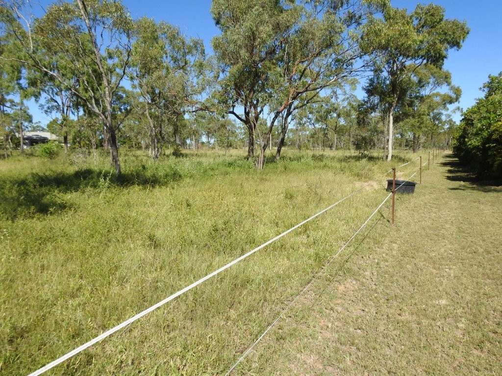 190 Old Dalrymple Road, Breddan For Sale by Farmbuy.com - image 27