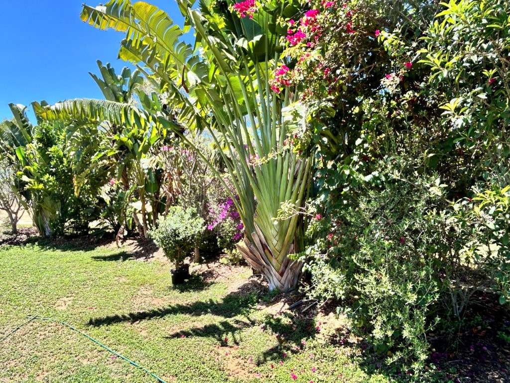 190 Old Dalrymple Road, Breddan For Sale by Farmbuy.com - image 29