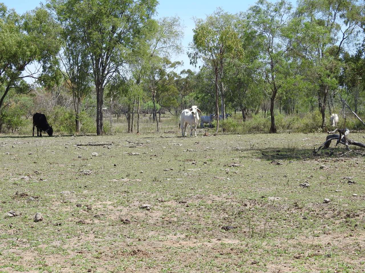 Broughton For Sale by Farmbuy.com - image 22