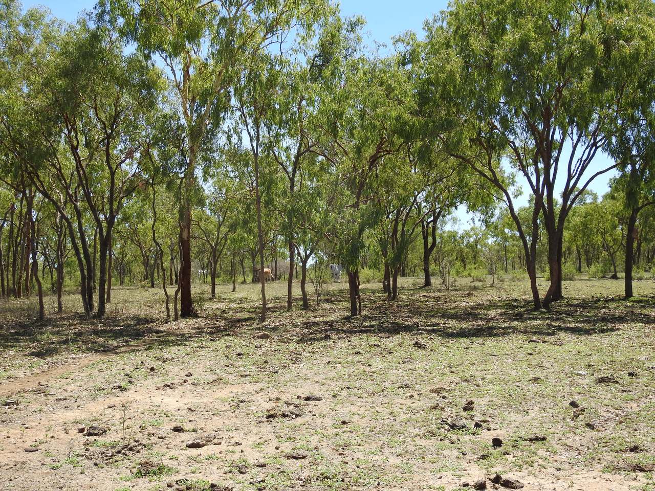 Broughton For Sale by Farmbuy.com - image 21